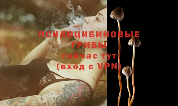 MDMA Premium VHQ Вяземский